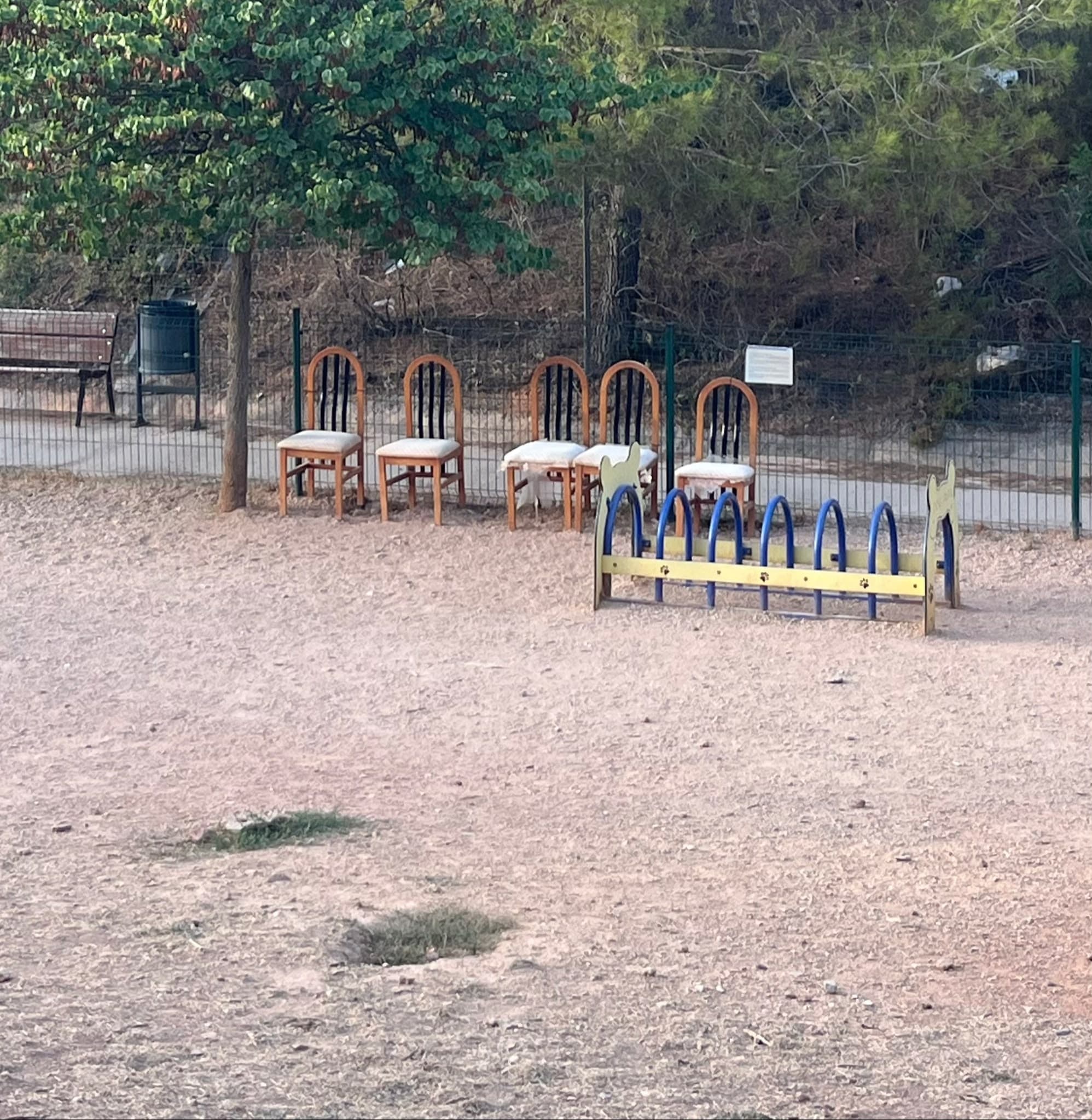 Veïns alerten de l’estat del pipicà i reclamen més manteniment i desinfecció