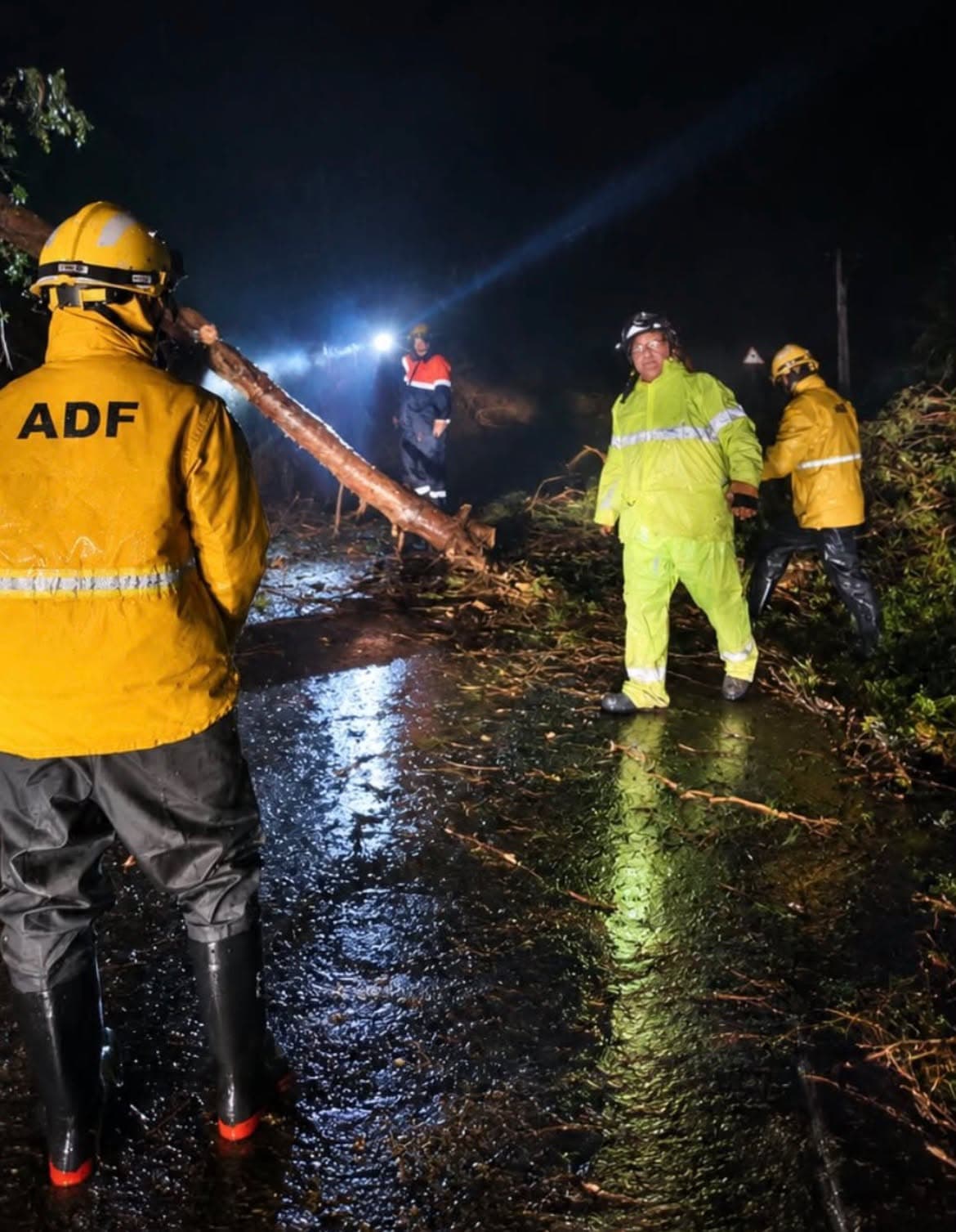 Retirado un árbol que había caído en la carretera de Santa Maria a causa de la lluvia